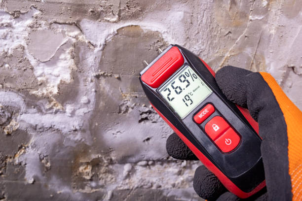 Best Bathroom Mold Remediation in Centreville, MD